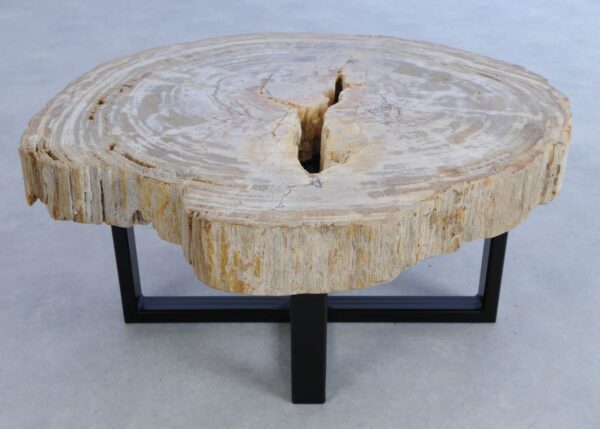 Coffee table petrified wood 44111