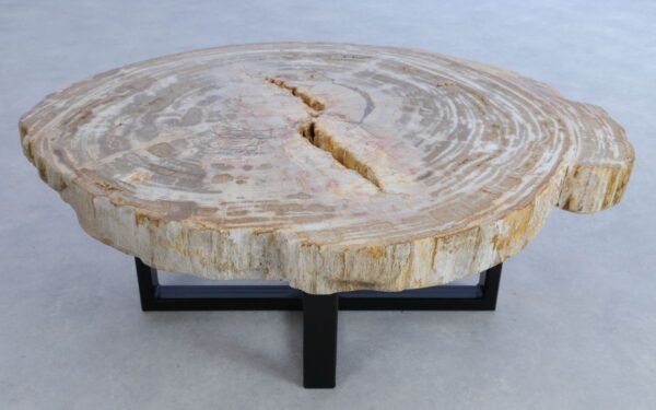Coffee table petrified wood 44113