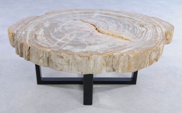 Coffee table petrified wood 44114