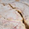 Coffee table petrified wood 44114