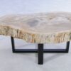 Coffee table petrified wood 44121