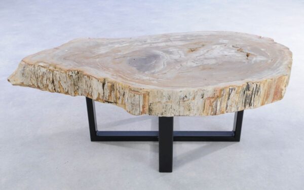 Coffee table petrified wood 44121