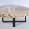 Coffee table petrified wood 44121