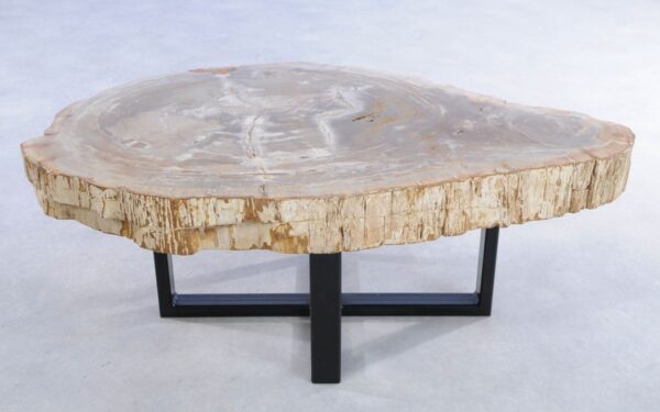 Coffee table petrified wood 44121