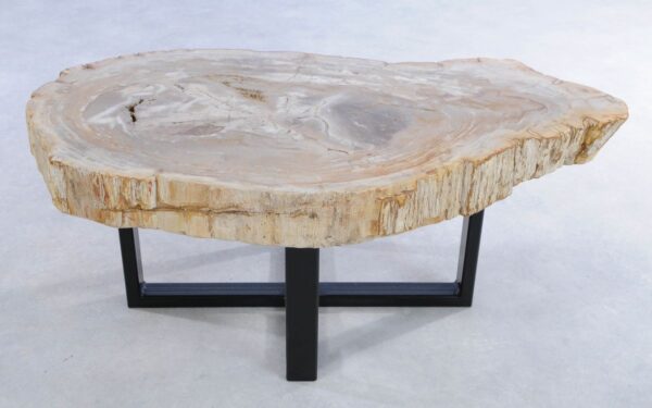 Coffee table petrified wood 44122