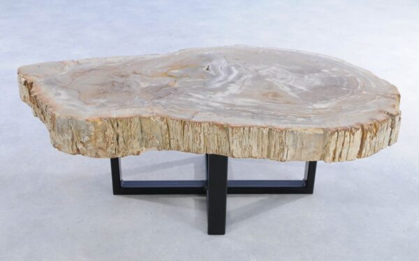 Coffee table petrified wood 44123