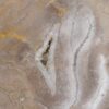Coffee table petrified wood 44123