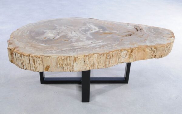 Coffee table petrified wood 44124