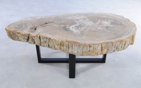 Coffee table petrified wood 44124