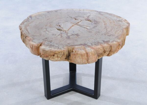 Coffee table petrified wood 44135