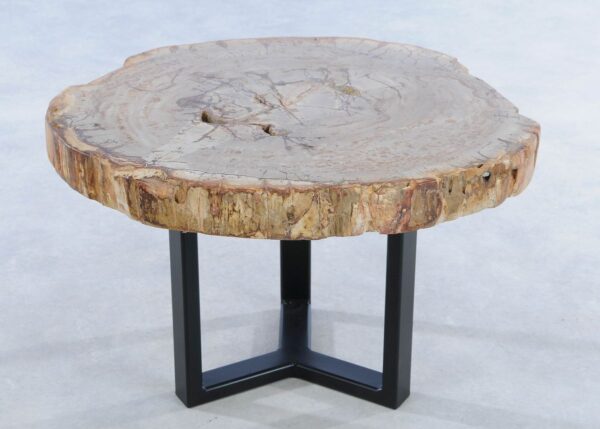 Coffee table petrified wood 44137