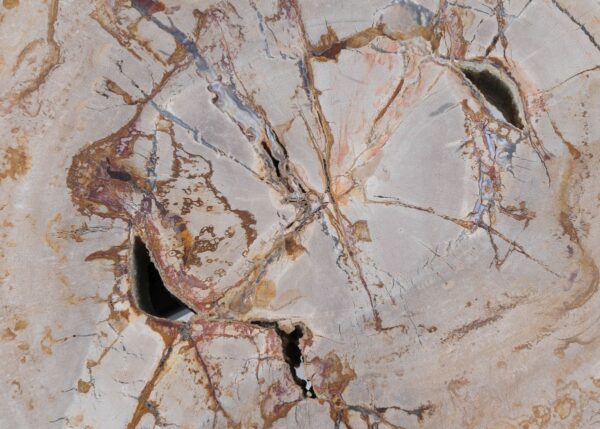 Coffee table petrified wood 44137