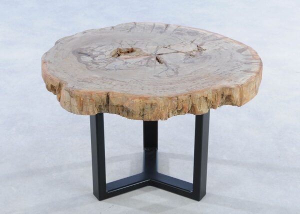 Coffee table petrified wood 44138