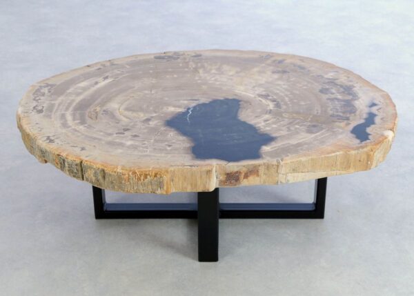 Coffee table petrified wood 44147