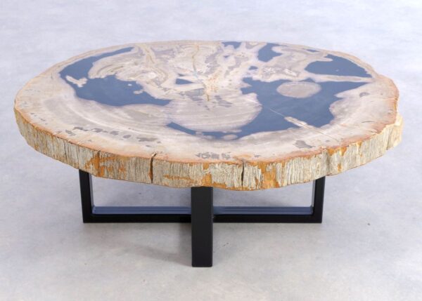 Coffee table petrified wood 44149
