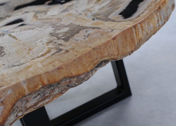 Coffee table petrified wood 44149