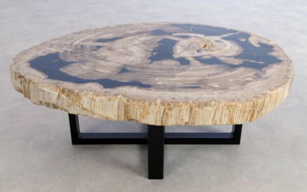 Coffee table petrified wood 44154