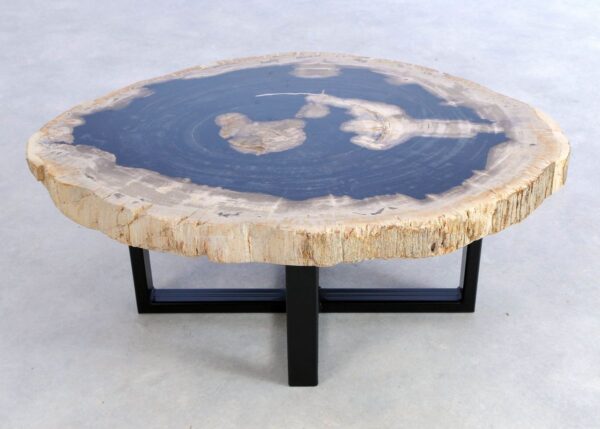 Coffee table petrified wood 44157