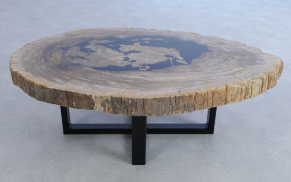 Coffee table petrified wood 44158