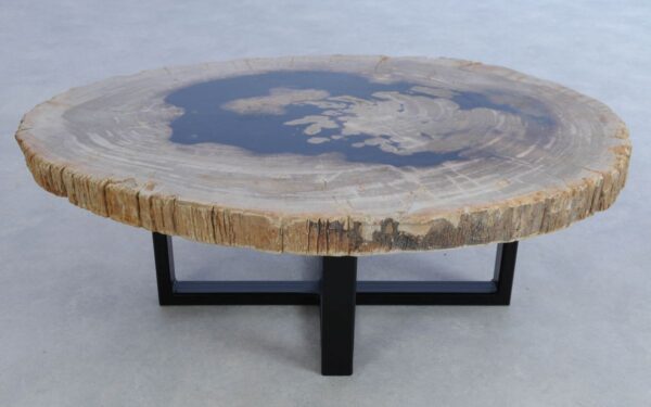 Coffee table petrified wood 44159