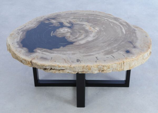 Coffee table petrified wood 44166