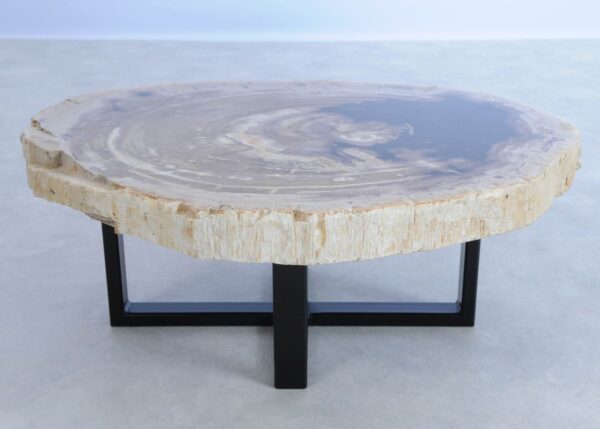 Coffee table petrified wood 44166