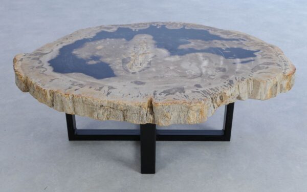Coffee table petrified wood 44180