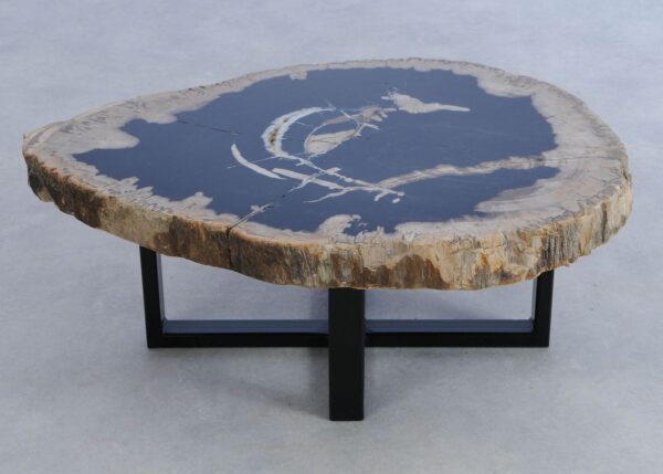 Coffee table petrified wood 44184