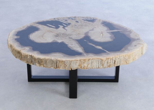 Coffee table petrified wood 44191