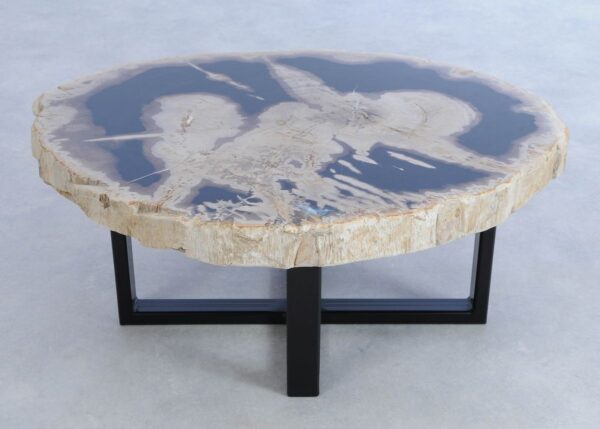 Coffee table petrified wood 44191