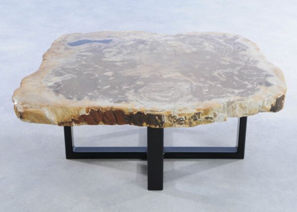 Coffee table petrified wood 44206