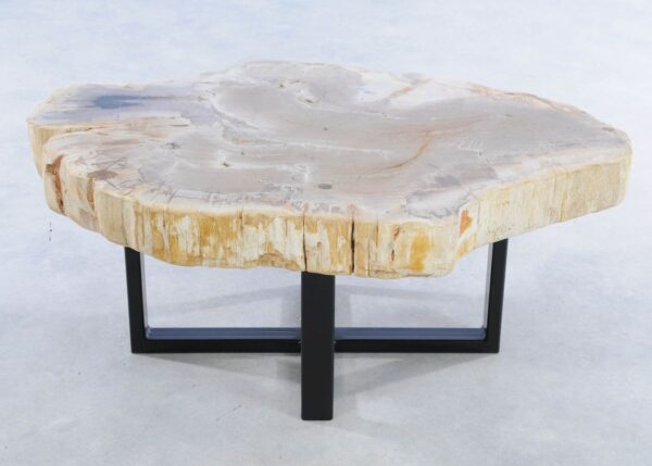 Coffee table petrified wood 44212