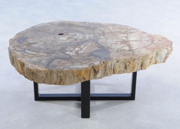 Coffee table petrified wood 44214