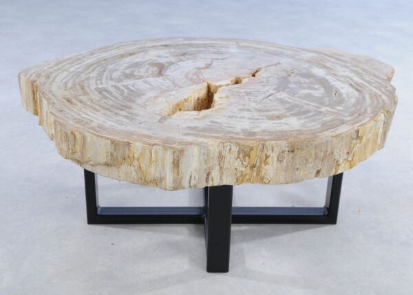 Coffee table petrified wood 44215