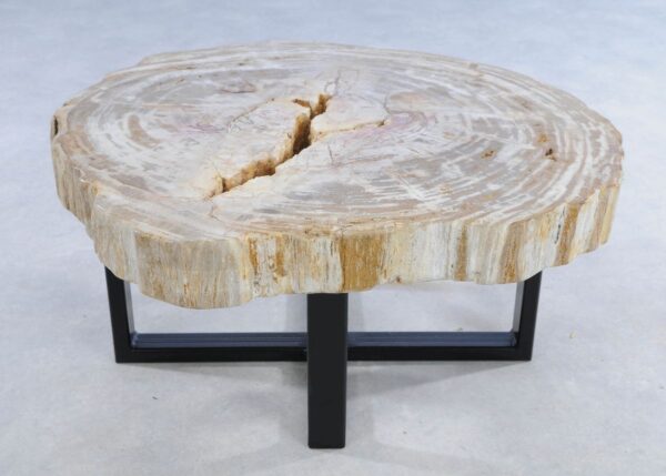 Coffee table petrified wood 44216