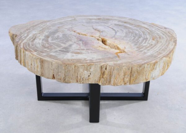 Coffee table petrified wood 44217
