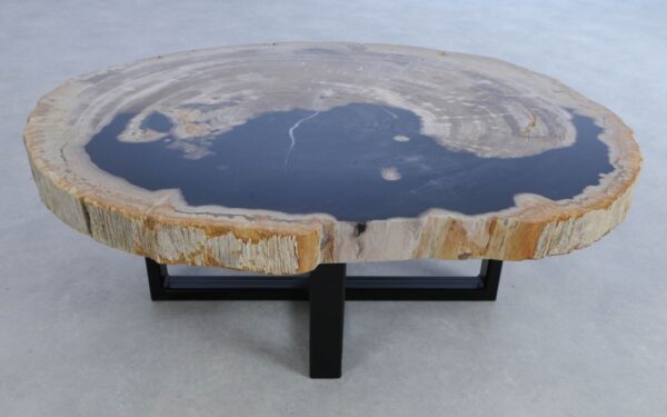 Coffee table petrified wood 44304