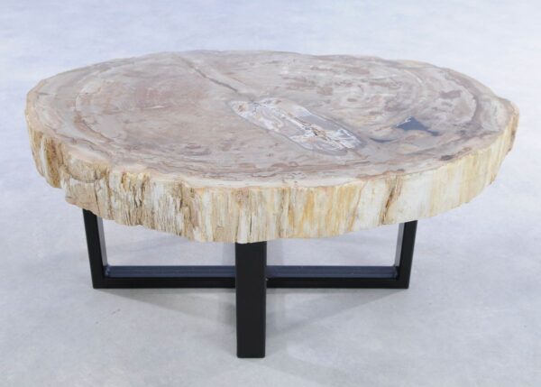 Coffee table petrified wood 44306