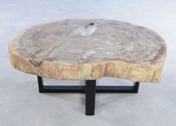 Coffee table petrified wood 44307