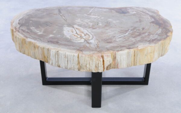 Coffee table petrified wood 44308