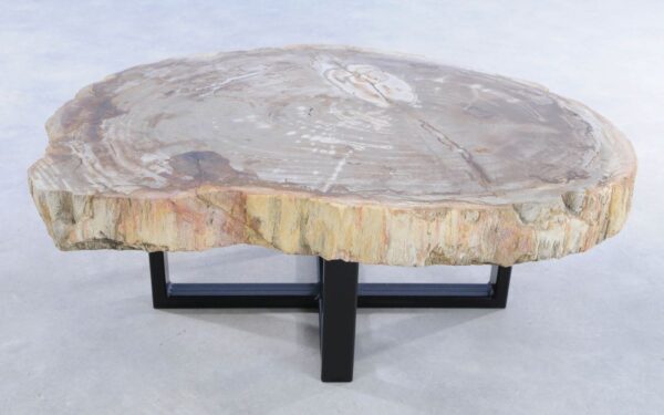Coffee table petrified wood 44308