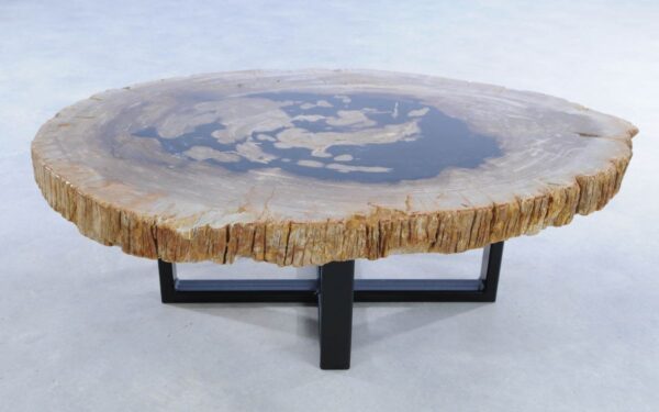 Coffee table petrified wood 44310