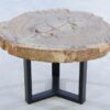 Couchtisch versteinertes Holz 44135