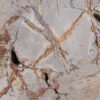 Couchtisch versteinertes Holz 44135