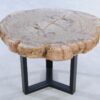 Couchtisch versteinertes Holz 44135