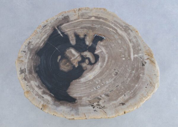 Couchtisch versteinertes Holz 44167