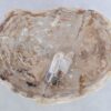 Couchtisch versteinertes Holz 44307