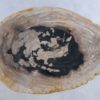 Couchtisch versteinertes Holz 44310