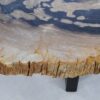 Couchtisch versteinertes Holz 44310