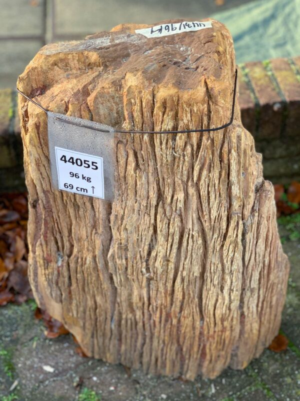 Grabstein versteinertes Holz 44055